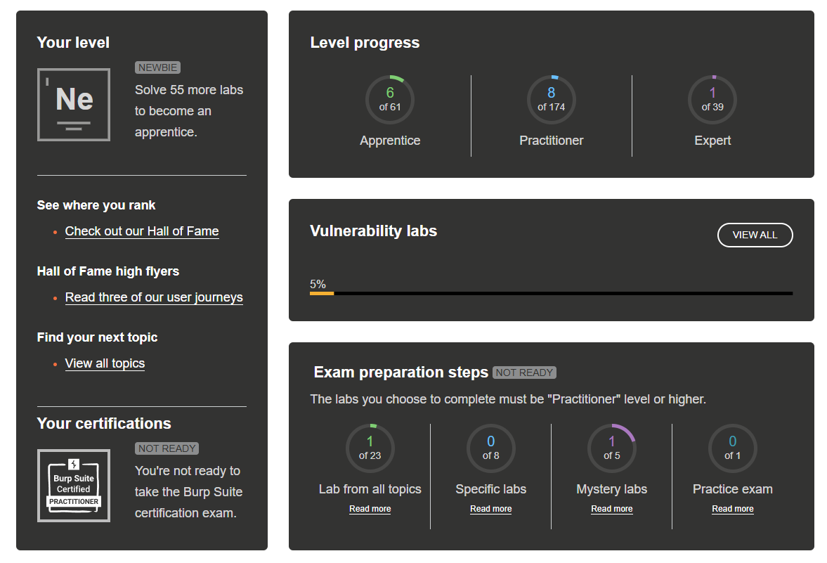 PortSwigger Academy labs