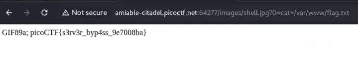 Flag output in browser