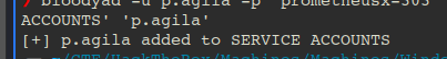 Adding p.agila to the Service Accounts group
